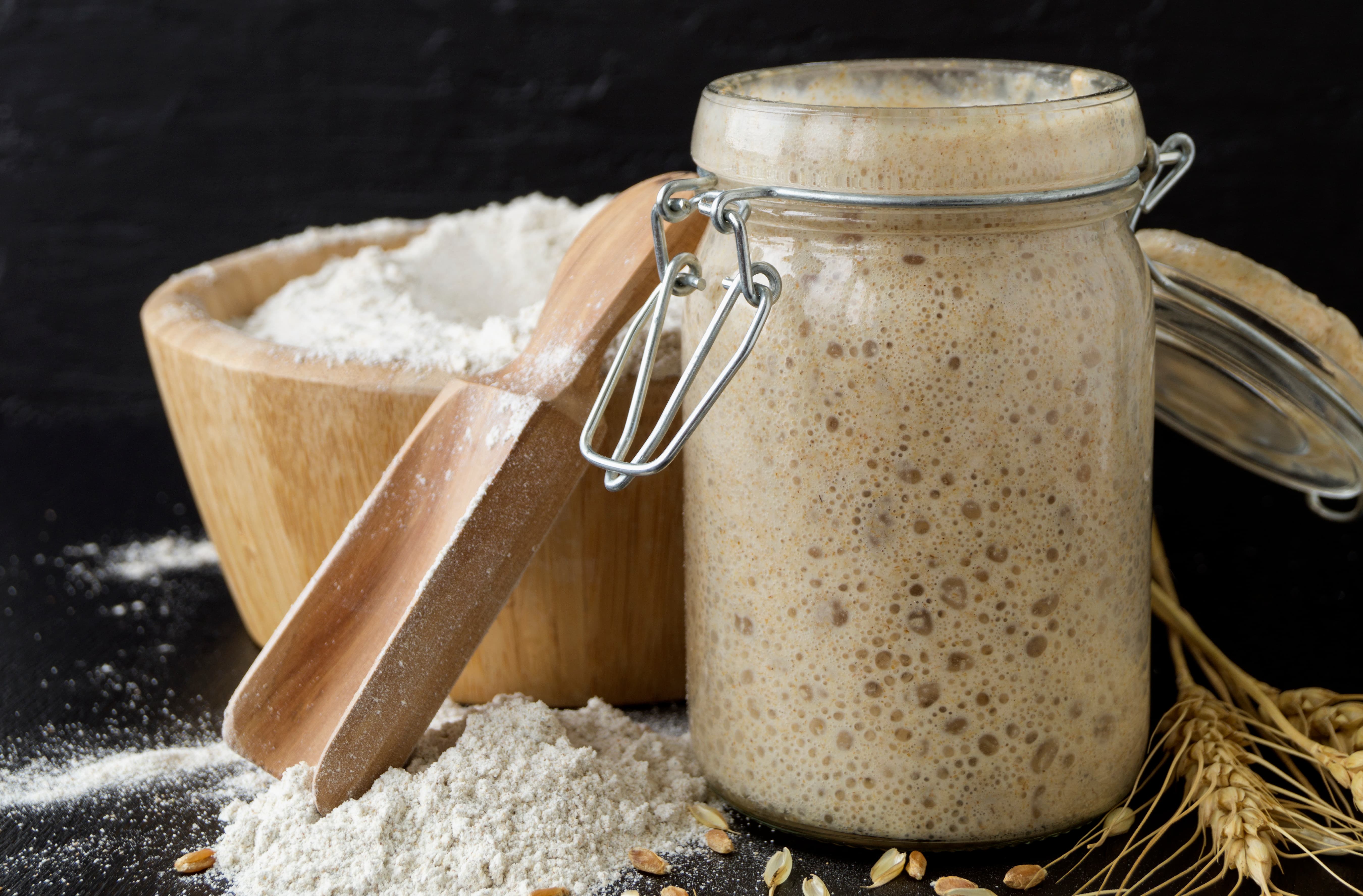 Sourdough Starter Kit
